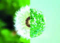 L’Oréal Türkiye Calls for a Greener Future