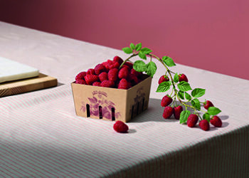 Holmen expands lightweight containerboard range with fresh-fiber fluting